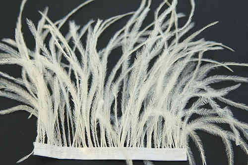 ostrich feathers nature on trim 3-6"