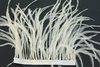 Straussenfedern am Band naturweiss 6-15 cm
