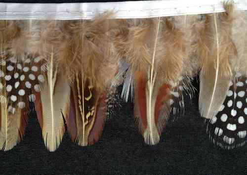 feathers on trim brown/beige 2 1/2 - 3"