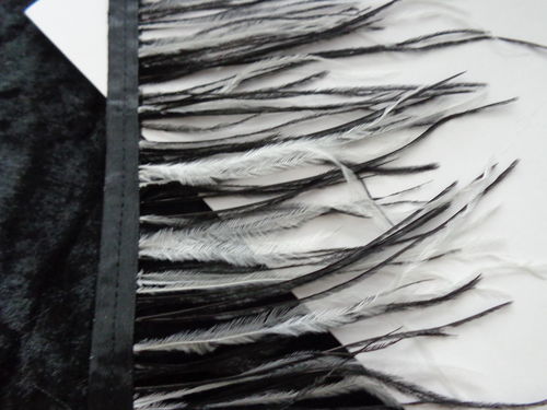 Straussenfedern zweifarbig schwarz/weiß 8-14 cm